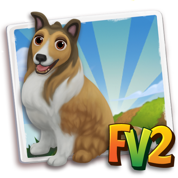 Dog Adult Collie, , Herding Time!, Janet