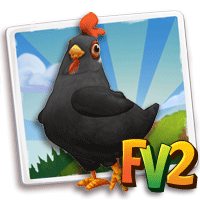 Chicken LeghornBlack, , Sona just raised a Black Leghorn Chicken to an adult!, Sona has finished feeding her Black Leghorn Chicken in FarmVille 2! Grab an extra baby bottle to feed your own baby animals!